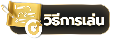 วิธีการเล่น